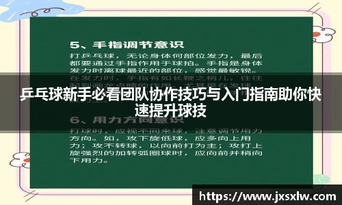 乒乓球新手必看团队协作技巧与入门指南助你快速提升球技