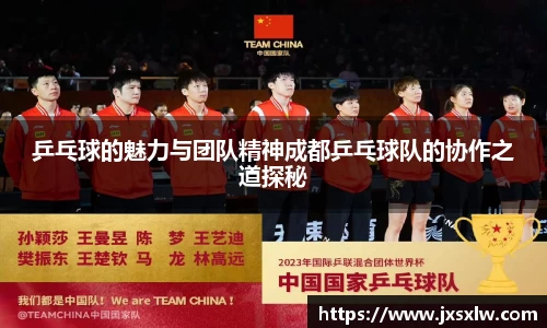 乒乓球的魅力与团队精神成都乒乓球队的协作之道探秘
